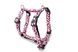 Max & Molly H-Harness - Leopard Pink/M - Шлея розовая с леопардовым принтом
