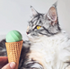 Cheerble Green Ice Cream Ball - Интерактивный мяч для кошек, зеленый