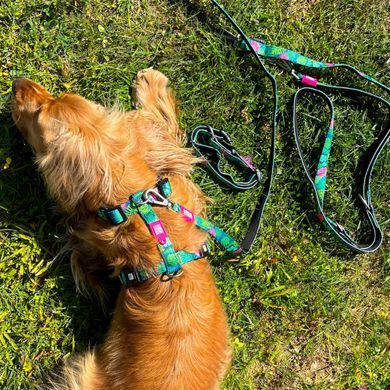 Шлейки для собак Max & Molly H-Harness Tropical з принтом Тропіки, S
