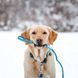 Поводок многофункциональный Max & Molly Multi-Function Leash Matrix Sky Blue голубого цвета, M