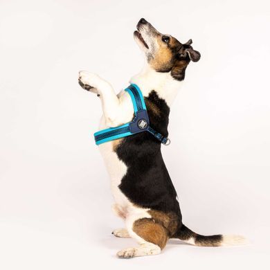 Шлейки для собак Max & Molly Q-Fit Harness Matrix Sky Blue голубого цвета, XXS