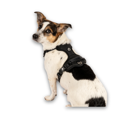 Шлейки для собак Max & Molly Smart ID Sport Harness Matrix 2.0 Black чорного кольору, S