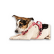 Шлейки для собак Max & Molly Smart ID Sport Harness Matrix 2.0 Rose розового цвета, M