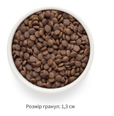 Промобокс Grandorf Fresh для великих котів
