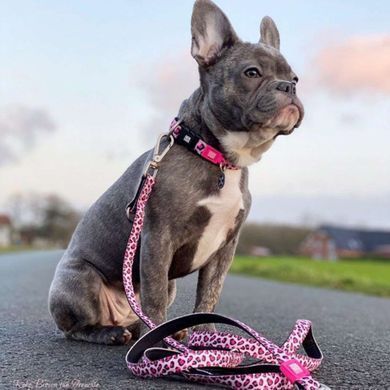 Ошейник для собак Max & Molly Smart ID Collar Leopard Pink с леопардовым принтом, XS
