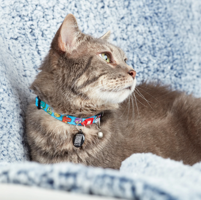 Max & Molly Smart ID Cat Collar Little Monsters/1 size - Ошейник для кошек Smart ID монстры
