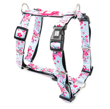 Шлейки для собак Max & Molly H-Harness Cherry Bloom с принтом Вишневое цветение, S
