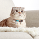 Нашийник Smart ID Cat Collar - Comic/1 size