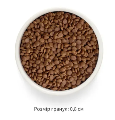 Grandorf Сухий беззерновий корм для дорослих котів Grandorf FRESH SALMON & SWEET POTATO ADULT CAT з лососем та бататом, 400 г