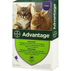 ADVANTAGE (Адвантейдж) капли на холку от блох для кошек и декоративных кроликов весом до 4 кг, (1 пипетка)