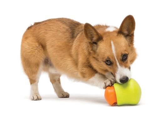 West Paw TOPPL TREAT TOY - Игрушка-головоломка для собак S (8 см)