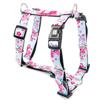 Шлейки для собак Max & Molly H-Harness Cherry Bloom з принтом Вишневе цвітіння, XS