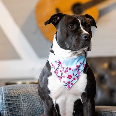 Бандана для собак на ошейник Max & Molly Bandana Cherry Bloom с принтом Вишневое цветение, L