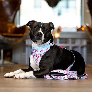 Бандана для собак на ошейник Max & Molly Bandana Cherry Bloom с принтом Вишневое цветение, L
