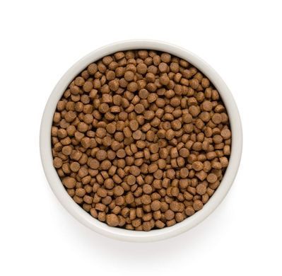 Сухий корм для котів Grandorf FOUR MEAT ADULT індор 4 види м'яса і пробіотики для котів з нормальною активністю від 1 року і старше
