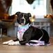 Бандана для собак на ошейник Max & Molly Bandana Cherry Bloom с принтом Вишневое цветение, L
