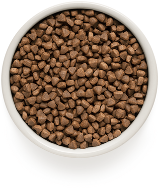 Сухой корм для взрослых кошек Grandorf LAMB & TURKEY ADULT INDOOR ягненок с индейкой, 8 кг