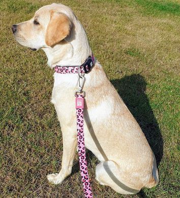 Поводок многофункциональный Max & Molly Multi-Function Leash Leopard Pink с леопардовым принтом, S