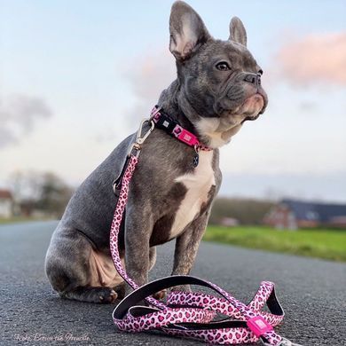 Поводок многофункциональный Max & Molly Multi-Function Leash Leopard Pink с леопардовым принтом, S
