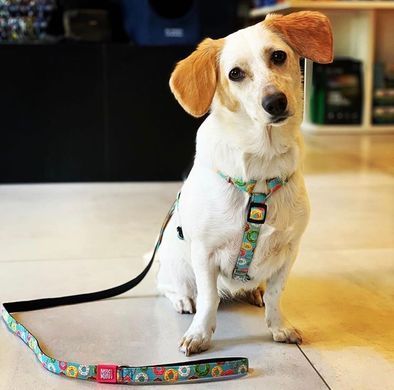 Шлейки для собак Max & Molly H-Harness Donuts с принтом Пончики, L