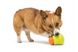 West Paw TOPPL TREAT TOY - Іграшка-головоломка для собак L (10 см)