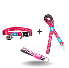 Smart ID Cat Collar - Magical/1 size + Short Leash Magical/XS + Key Ring Leopard Pink/Tag