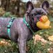 Шлейки для собак Max & Molly H-Harness Ducklings с принтом Утята, L