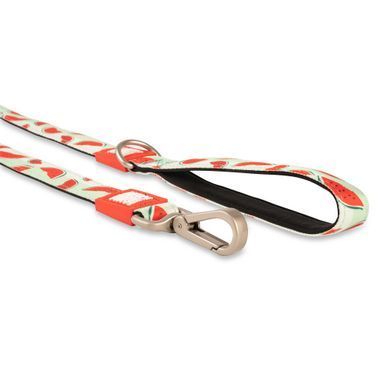 Поводок короткий для собак Max & Molly Short Leash Watermelon с принтом Арбуз, S