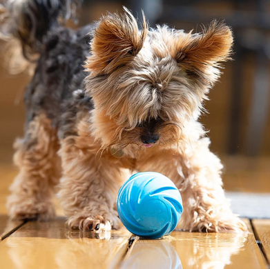 Cheerble Wicked Blue Ball Cyclone - Інтерактивний м'яч для собак, синій
