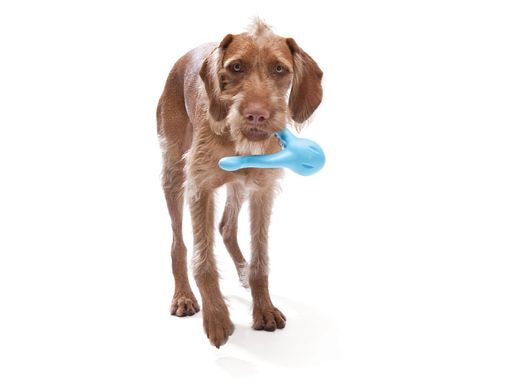 West Paw Tizzy Dog Toy Игрушка с 2-я ножками для собак L (18 см)