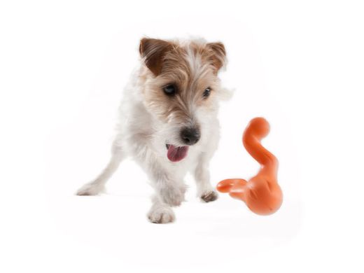 West Paw Tizzy Dog Toy Игрушка с 2-я ножками для собак L (18 см)