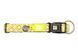 Ошейник для собак Max & Molly Smart ID Collar Kiwi с принтом Киви, XS