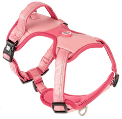 Max & Molly Smart ID Sport Harness Matrix 2.0 Rose/S - Шлейки Матрікс рожевого кольору