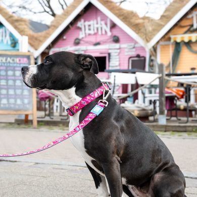 Нашийник для собак Max & Molly Smart ID Collar Magical з принтом Магії, XS