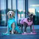 Дождевик для собак Max & Molly Raincoat Matrix 2.0 Turquoise, бирюзовый, XXS