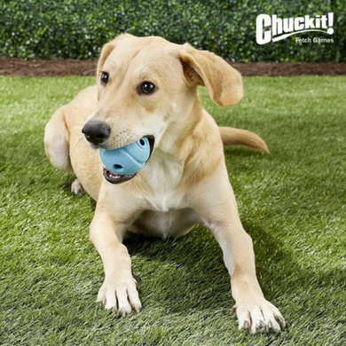 Chuckit The Whistler - Іграшка свистячий м'яч з отворами для собак - M