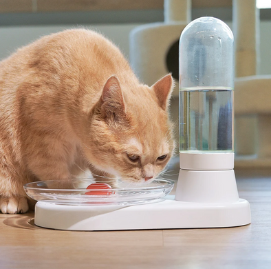 Cheerble Kitty Spring Water - Автоматический диспенсер воды для кошек и щенков