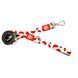 Поводок короткий для собак Max & Molly Short Leash Watermelon с принтом Арбуз, S