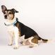Ошейник для собак Max & Molly Smart ID Collar Unicorn с принтом Единорог, XS
