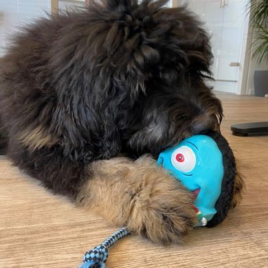Игрушка для собак Max & Molly Snuggles Toy Bubba King