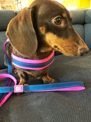 Шлейки для собак Max & Molly Q-Fit Harness Matrix Pink розового цвета, XS