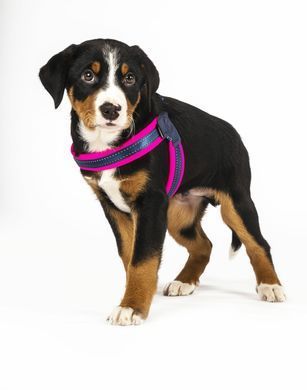 Шлейки для собак Max & Molly Q-Fit Harness Matrix Pink розового цвета, XS