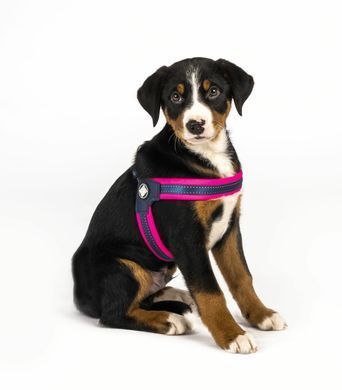 Шлейки для собак Max & Molly Q-Fit Harness Matrix Pink розового цвета, XS