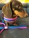 Шлейки для собак Max & Molly Q-Fit Harness Matrix Pink розового цвета, XS