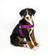Шлейки для собак Max & Molly Q-Fit Harness Matrix Pink розового цвета, XS