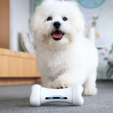 Cheerble Wickedbone - интерактивная умная игрушка для собак