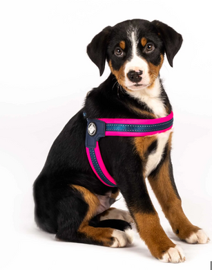 Шлейки для собак Max & Molly Q-Fit Harness Matrix Pink розового цвета, S