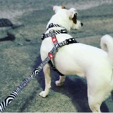 Повідець багатофункціональний Max & Molly Multi-Function Leash Zebra з принтом Зебра, M