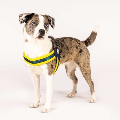 Шлейки для собак Max & Molly Q-Fit Harness Matrix Yellow жовтого кольору, S