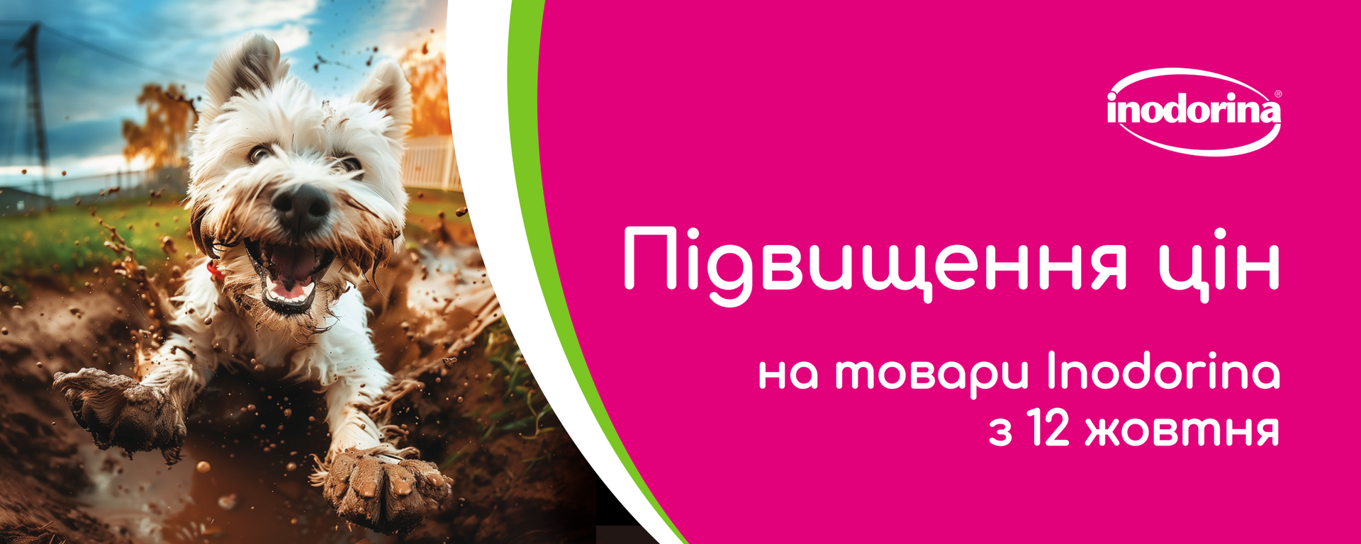 Inodorina